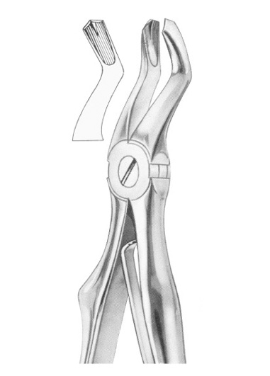 KLEIN (Fig. 220) upper molars