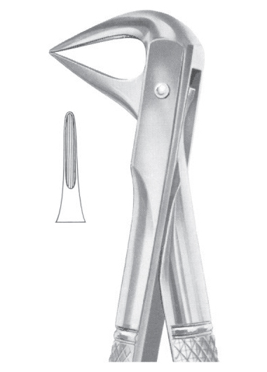 Fig. 74XN lower roots and crowded incisors