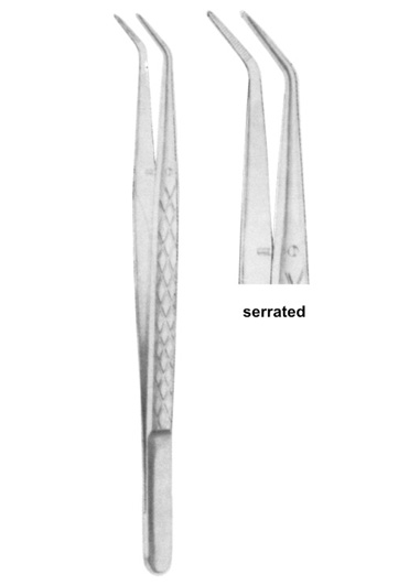 COLLEGE 15 cm