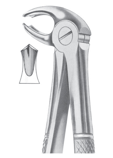 Fig. 22G lower molars