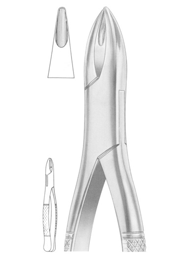 HENAHAN Fig. 315/1A upper incisors