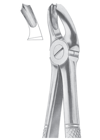 Fig. 18A upper molars