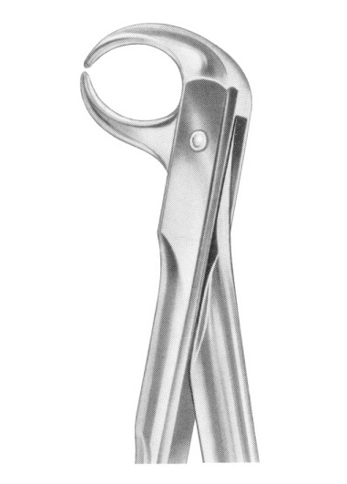 Fig. 86C lower molars