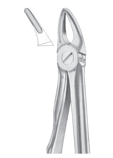 Fig. 30S upper roots for children