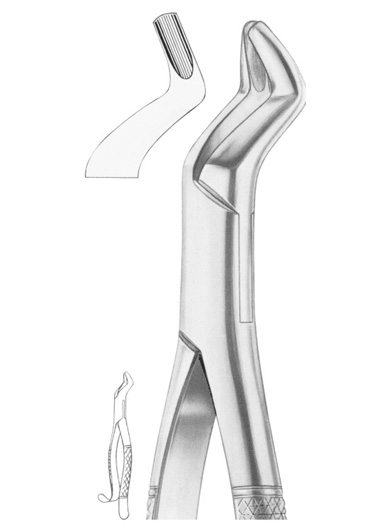 Fig. 104 upper third molars