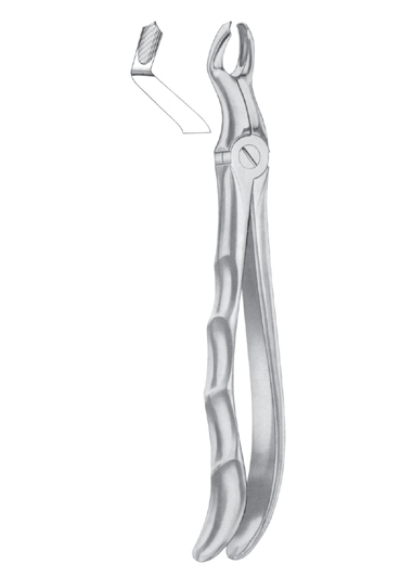 Fig. 67 � R upper third molars right