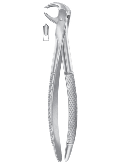 Fig. 73K lower molars for children