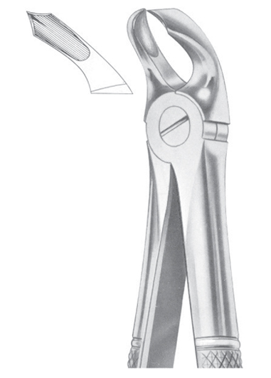 Fig. 32 lower molars