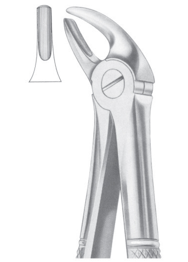 Fig. 4 upper incisors & canines