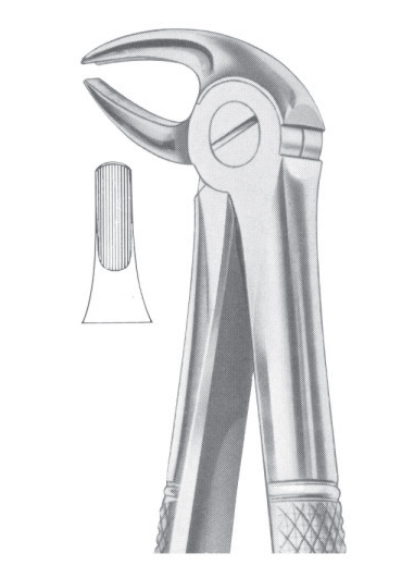 Fig. 13 lower premolars