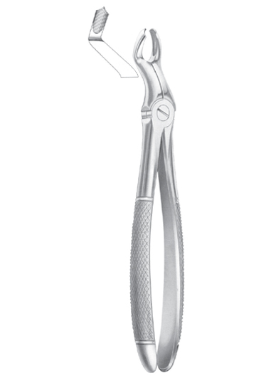 Fig. 67 �R upper third molars right