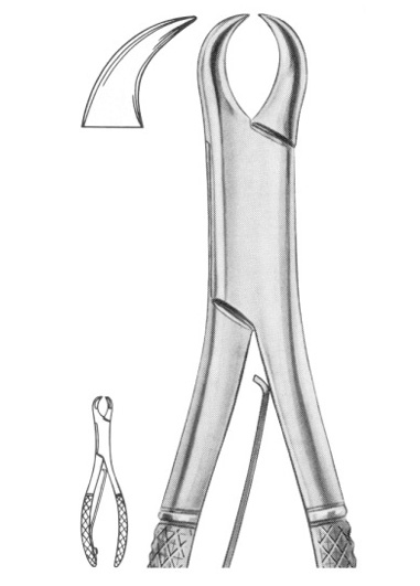 Fig. 355/23SK lower molars