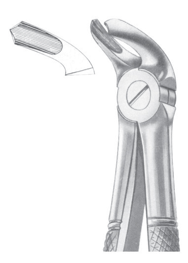 Fig. 40 lower molars for children