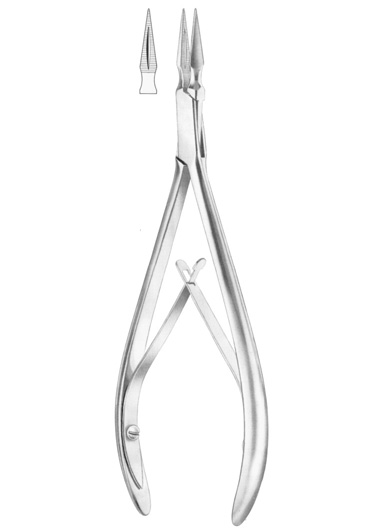 RALK Fig. 231 root fragments