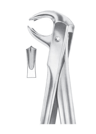 Fig. 73 lower molars