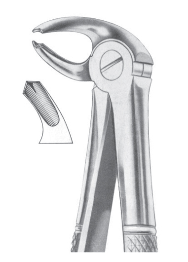 Fig. 24 lower molars left