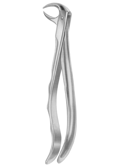 Fig. 86A lower molars