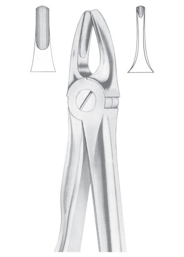 Fig. 3 upper incisors and canines