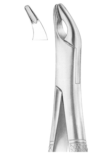 CRYER Fig. 150A upper incisors, premolars, roots