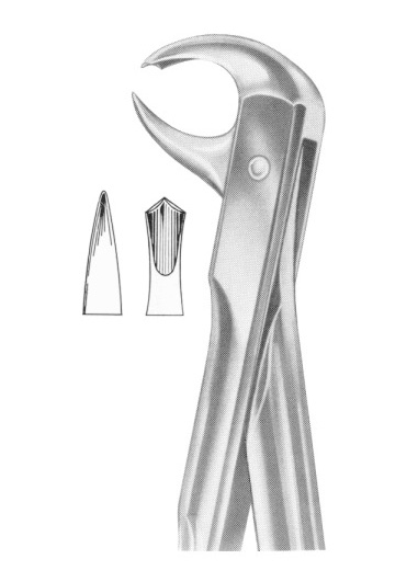 Fig. 99 1/4 lower molars