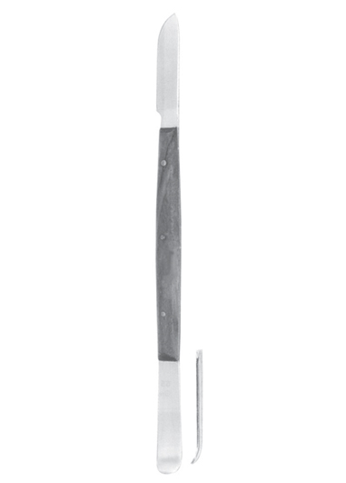 Fahnenstock Fig, 2 17cm