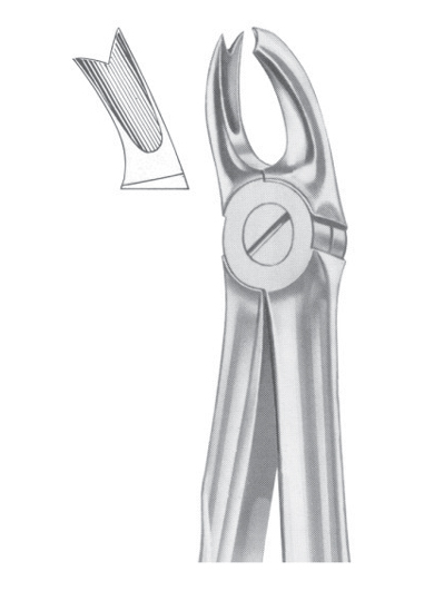 Fig. 65L upper molars left