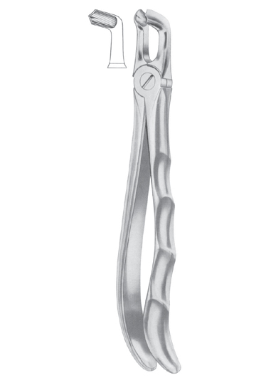 Fig. 79 lower third molars