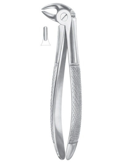 Fig. 13S lower premolars for children.