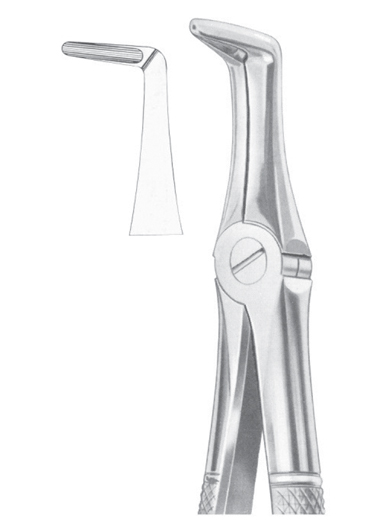 Fig. 45 lower roots