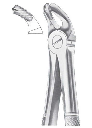 Fig. 21 lower molars