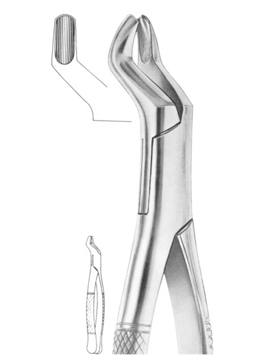 Fig. 53L upper molars left