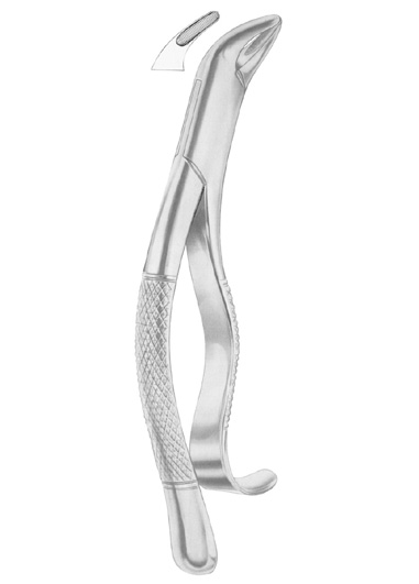 Fig. 103 lower incisors, premolars