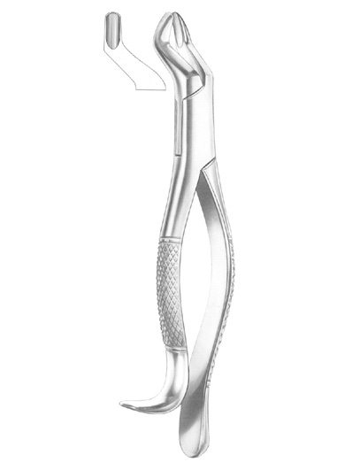 Fig. 10H upper molars