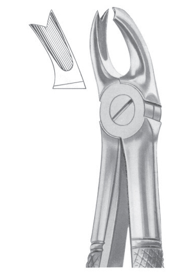 Fig. 65L upper molars left