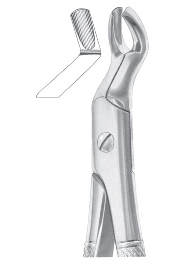 Fig. 67 upper third molars