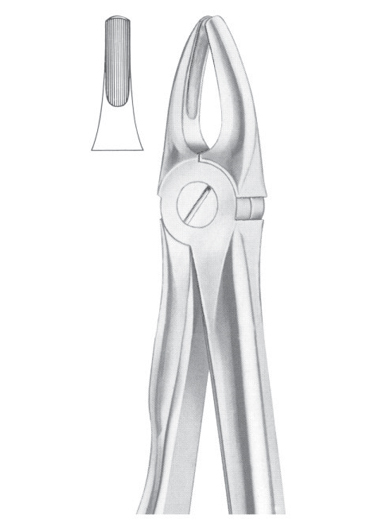 Fig. 2 upper laterals and canines