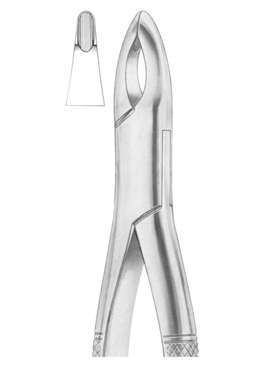 Fig. 213 upper centrals and canines