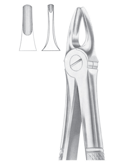 Fig. 3 upper incisors & canines