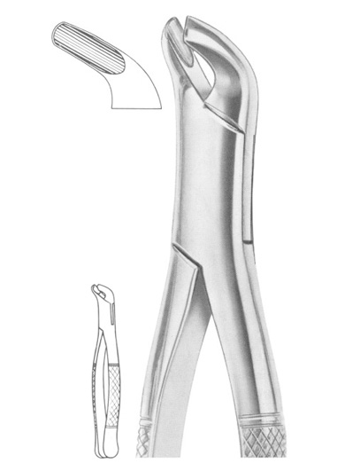 Fig. 27 lower molars