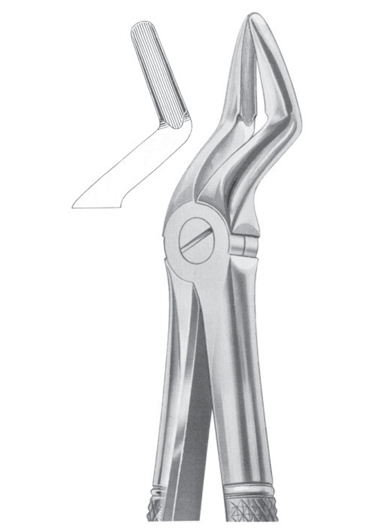 Fig. 52A upper teeth and resection