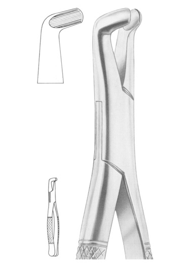 Fig. 222 lower third molars