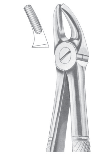 Fig. 7 upper premolars