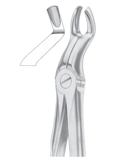 Fig. 67A upper third molars