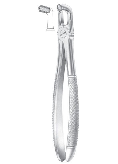 Fig. 79 lower third molars