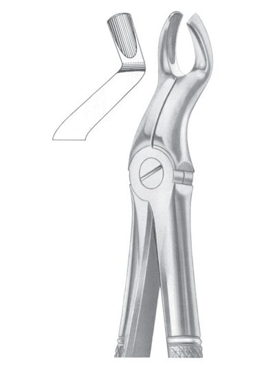 Fig. 67A upper third molars