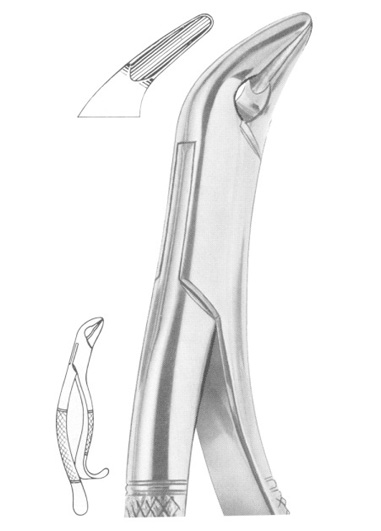 THOMAS Fig. 85A lower canines, premolars and molars