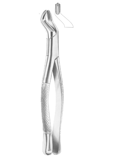 Fig. 53R upper molars right