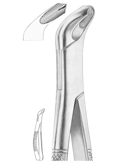 Fig. 217 lower molars