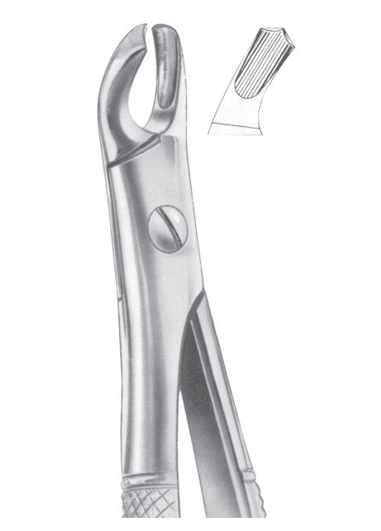 Fig. 102 upper molars right