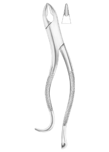 NEVIUS Fig. 325/10H upper canines